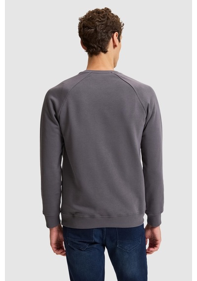 U.S. Polo Assn. Erkek Gri Bisiklet Yaka Regular Fit Basic Sweatshirt 50329441-vr024