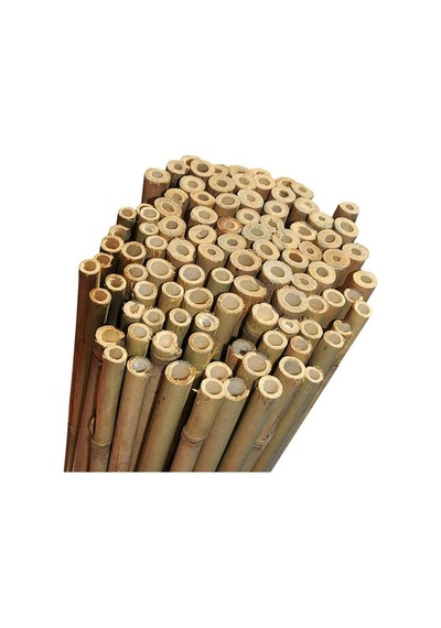 Bambu Çubuk Bitki Destek Çubuğu 10 Adet 22-24 Mm X 210 Cm