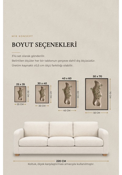 Ahşap Çerçeveli 3'lü Mdf Tablo Seti Uv Baskı Bej Organik Form Japandi Salon Duvar Dekoru Renk: Siyah Ölçü: 25 X 35
