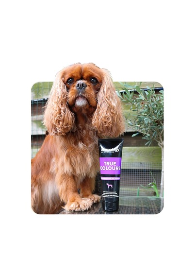 True Colors Renk Koruyucu Köpek Şampuanı 250 Ml