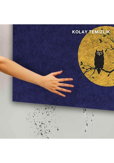 Tasarımlı Dekoratif Kapı Önü Paspas, Dış Mekan/ev İçi/banyo/mutfak/yatak Odası/giriş Paspasları Baykuş Mav Diğer