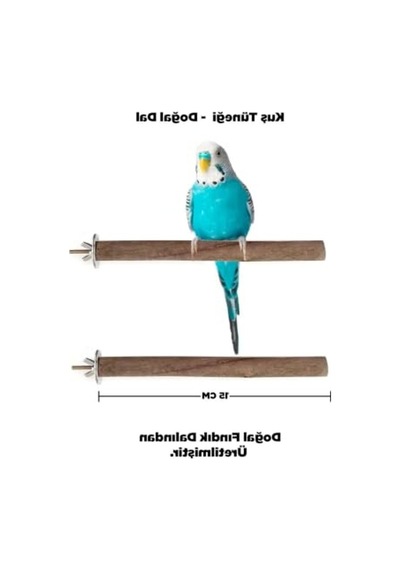 Doğal Ahşap Kuş Tüneği, 15 Cm, Fındık Dalından