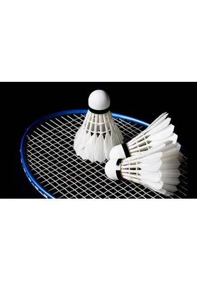 Badminton Filesi 6.10m x 75 CM