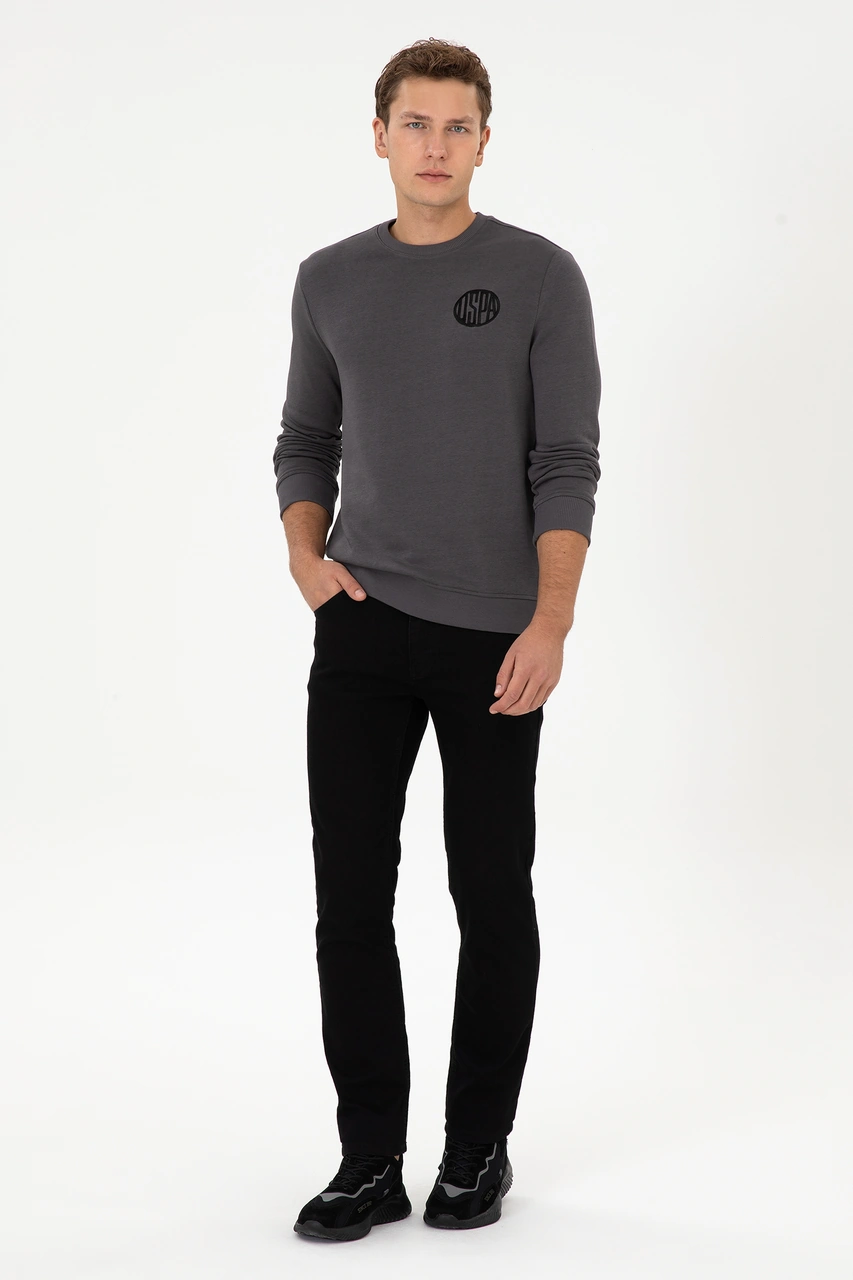 U.S. Polo Assn. Erkek Regular Fit Bisiklet Yaka Gri Sweatshirt 50308717-VR024