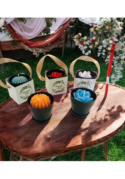 Mumelia Mini Siyah Saksıda Sukulent - Doğal Soya Hediyelik Mum - 15 .