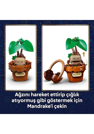 LEGO® Harry Potter™ Hogwarts™ Bitkibilim Bitkileri 76474 - 12 Yaş ve Üzeri için 3 Bitki İçeren Oyuncak Yapım Seti (817 Parça)