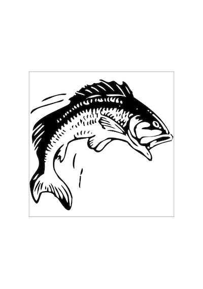 Balık Folyo Sticker 30cm Uzunluk Siyah