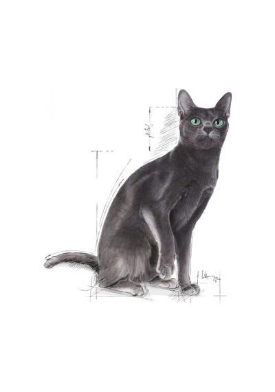 Sterilised Kısır Kedi Maması 2kg