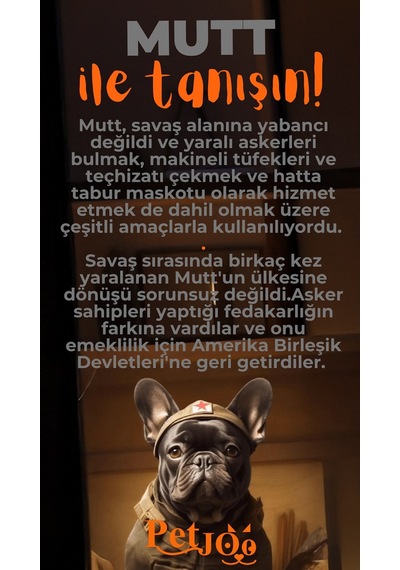 Petjoo 10.Mutt Turuncu-Gri Qr'lı Köpek Künyesi
