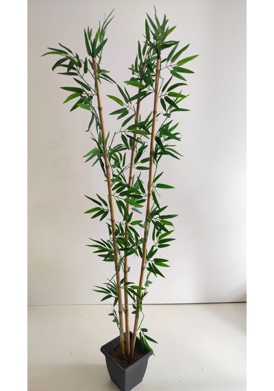 Rüzgar Yapay Çiçekçilik 170 Cm 3 Lü Bambu Yeşil