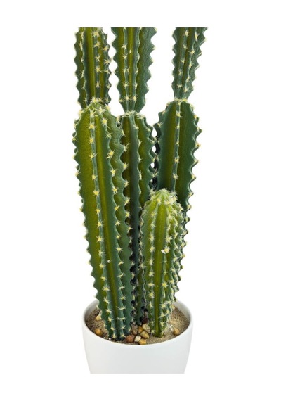 Yapay Kaktüs Ağacı Sütun Kaktüsü Cereus Peruvianus - Beyaz Saksıda Yapay Bitki 70 20cm Yeşil