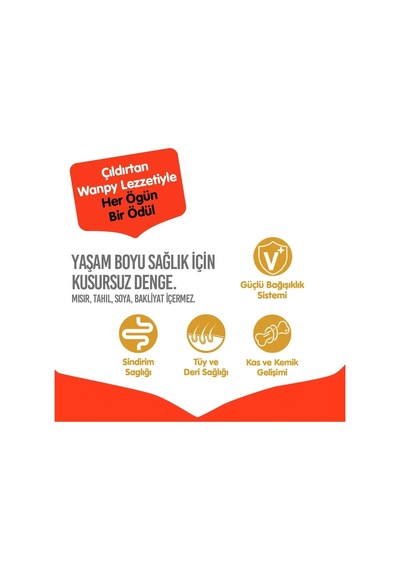 Wanpy Tavuklu Tahılsız Yetişkin Köpek Maması 1.5 Kg