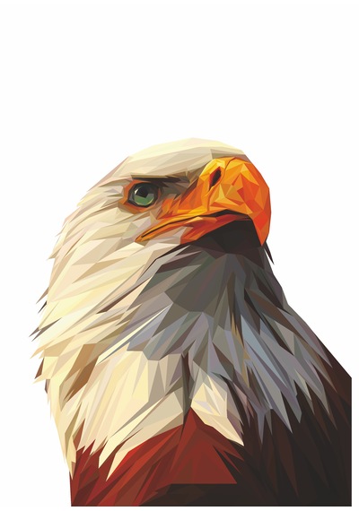 Kartal Eagle Karakartal Beşiktaş Sticker Araba Oto Motosiklet Karavan Sticker 00280 20x17 Cm