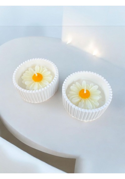 Bernami Biblo Pinterest 2'li Mini Saksı Papatya Çiceği Temalı Kokulu Mum Seti Hediyelik