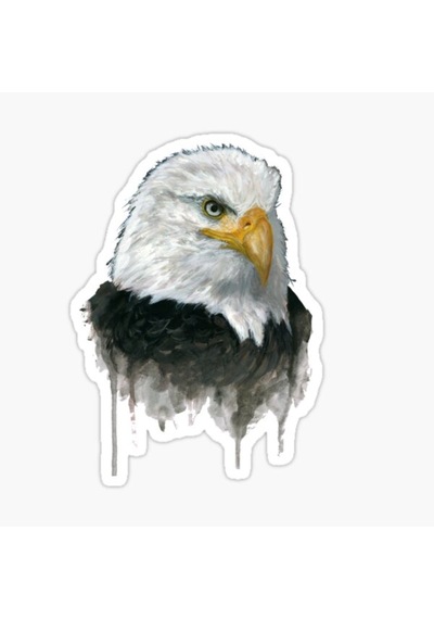 Araba Için Kartal Oto Sticker Yapıştırması Etiket 17Cm R4