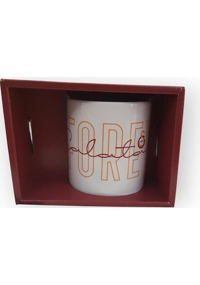 Mgm Bardak Galatasaray Saplı Seramik Mug 10-01 Çok Renkli