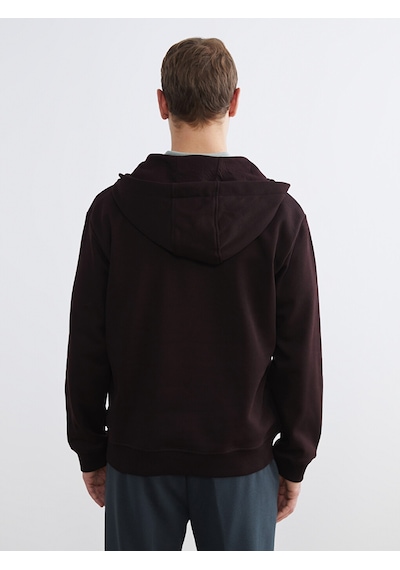 Lcw Vision Kahverengi Uzun Kollu Erkek Hoodie