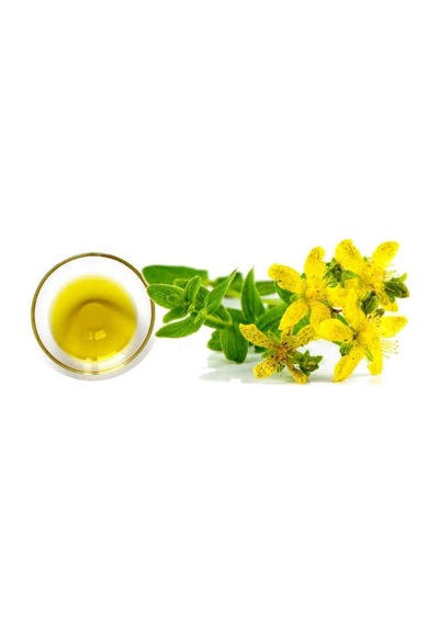 Kantaron Yağı 250 ML