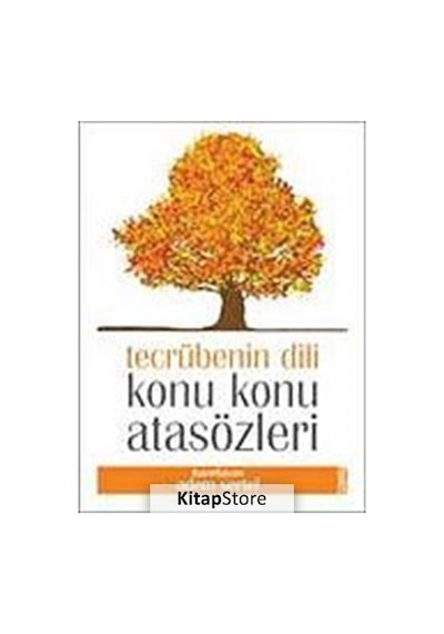 Konularına Göre Açıklamalı Atasözlerimiz - Adem Sertel - Eşik Yayınları