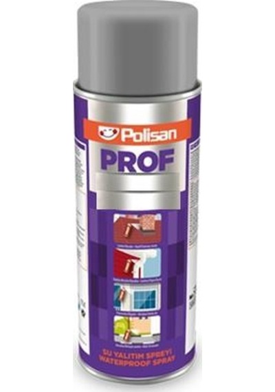 Polisan Prof S-Wg Su Yalıtım Spreyi 500 Ml Gri