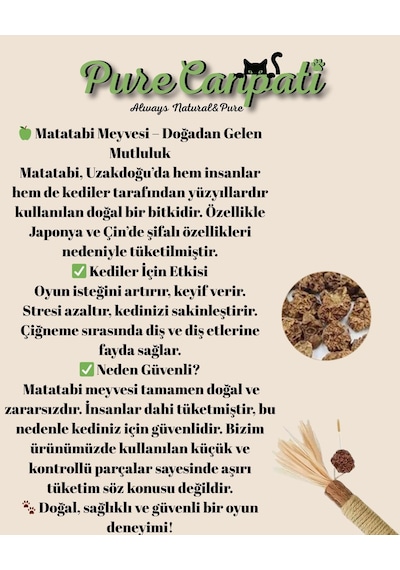 Purecanpati Kedi Naneli Matatabi Çubuğu, Doğal, Gerginlik Azaltıcı, Diş Sağlığına Katkı 2 Adet