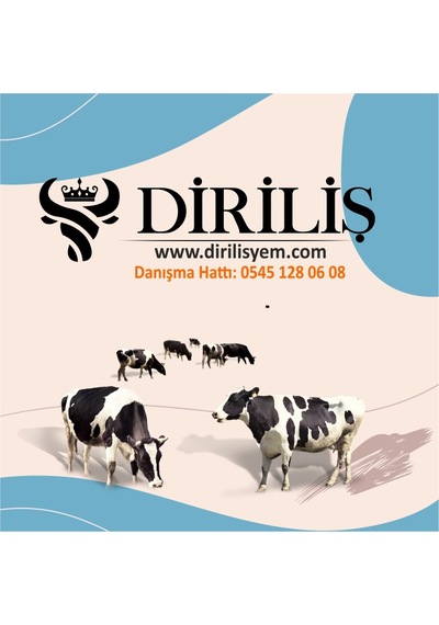 Diriliş Megasüt 25 Kg Yem Katkı