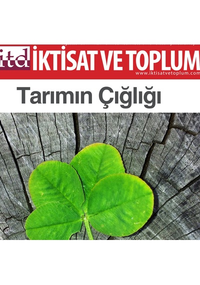 İktisat Ve Toplum Dergisi 82. Sayı