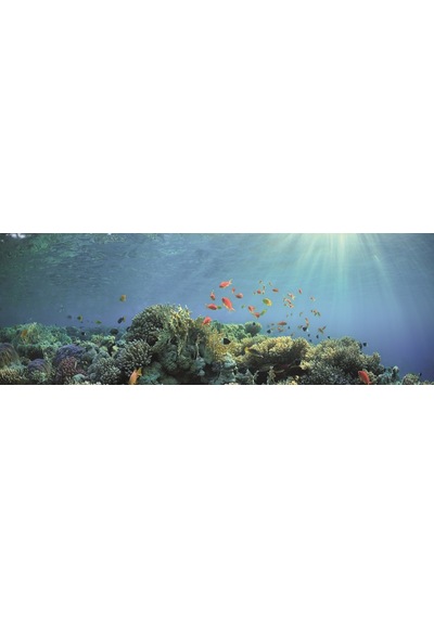 Kanki Pet Kp18565030 Akvaryum Arka Fon Yapıştırma 185 X 65 Cm