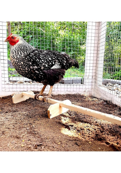 Kümes Tüneği, Tavuk Ve Minik Civciv Tüneği, Doğal Kümes Aksesuarı Tünek