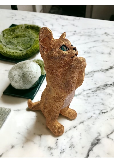 Polyester Kedi Biblo