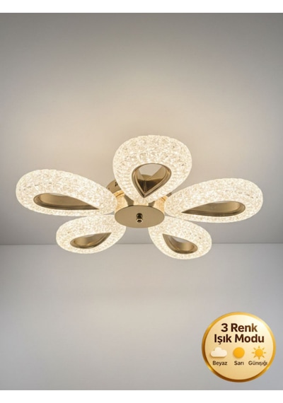 Damla Model 5"li Gold 3 Renk Modu Ledli Modern Tavana Sıfır Salon Mutfak Çocuk Yatak Odası Led Avize Altın