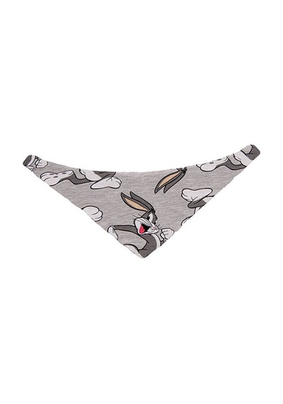 Lepus Fular Tasma Small No:1 249-58009.01 Diğer