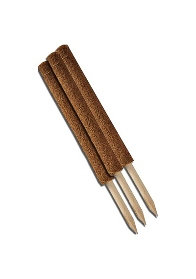 Kks080 Koko Sarmaşık Çubuğu - 80 Cm