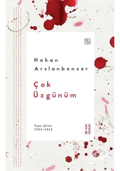 Çok Üzgünüm / Hakan Arslanbenzer N11.10973