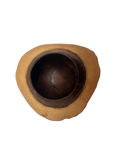 Coconut Hindistan Cevizi Kase Kabuklu Coconat Kase
