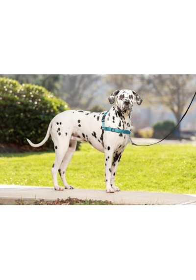 Deluxe Easy Yürüyüş Kemeri Mavi Köpek Göğüs Tasması Küçük 38-51 Cm