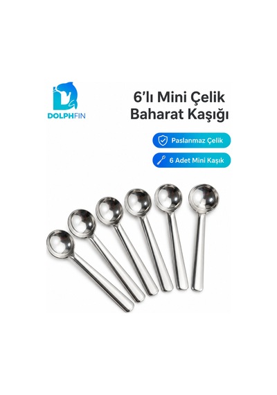 6 Lı Mini Paslanmaz Çelik Baharat Kaşığı Ölçü Ve Servis Kaşık Seti Metalik