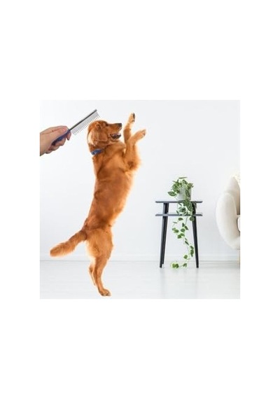 Pure Sensitive Hindili Yetişkin Köpekler İçin Konserve 400 Gram 100 G
