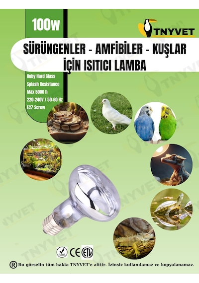 Tnyvet 100 Watt / Gün Işığı Güneş Lambası Isıtıcı Lamb