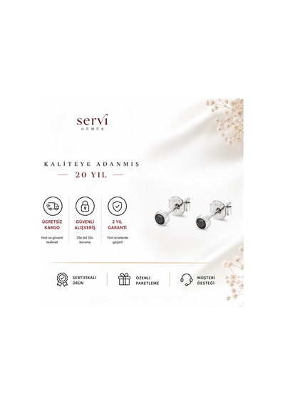 Servi 925 Ayar Gümüş 3 Mm Siyah Zirkon Taşlı Nokta Küpe-467