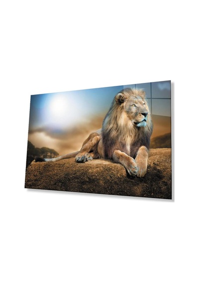 Aslan Cam Tablo 4mm Dayanıklı Temperli Cam274