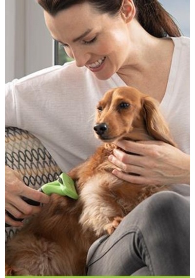 Kedi Ve Köpekler İçin Uzun Tüylü Köpek Tarağı Tüy Toplayıcı Tarak Small Renkli
