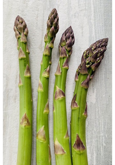Kuşkonmaz Tohumu Mary Washington Geleneksel Asparagus Seeds