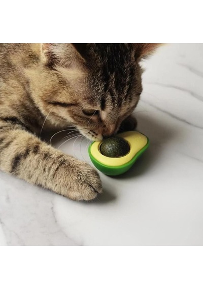 Avokado Model Yapışkanlı Kedi Oyuncağı Yenilebilir Kedi Nanesi Otu Adet Fiyatıdır