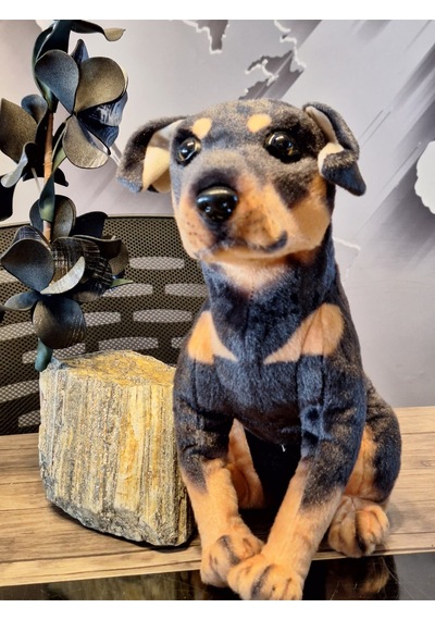 Sevimli Doberman Köpeği 35cm Siyah