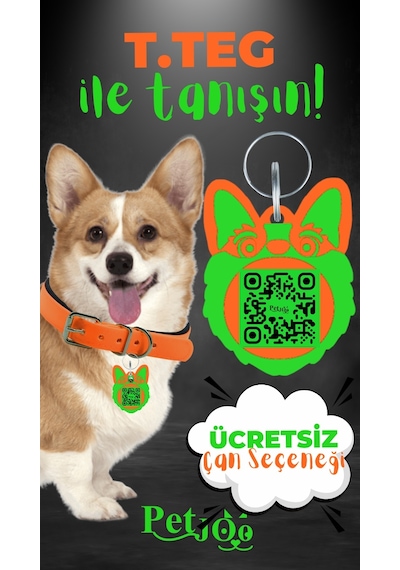 Petjoo 15.T.Teg Yeşil-Turuncu Qr'lı Köpek Künyesi