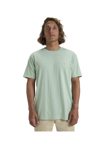 Bıllabong Billabong Arch Crew Erkek Tişört 1208 Çok Renkli