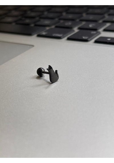 Cerrahi Çelik Tragus Helix Kıkırdak Conch Minimal Kedili Piercing Gümüş - Pembe