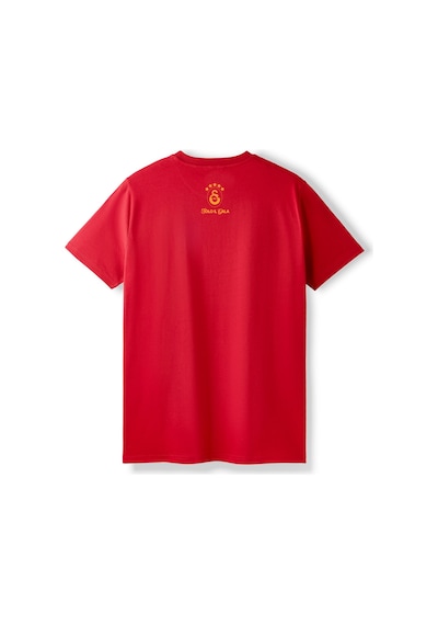 Gsstore Galatasaray V. Osimhen Artwork T-shirt E252999 Kırmızı