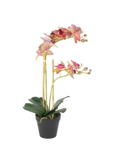 Fuşya Limoni Yapay Orkide, Saksılı Dekoratif Çiçek, İkili Dal, 53 Cm, Ev Dekorasyonu İçin Diğer